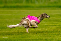 Prelim Open Silken-0393
