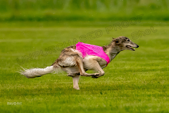 Prelim Open Silken-0393