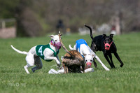 MCH78121  Seavey, Sprout, Mandy, Ruffian, Ocho