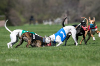 MCH78124  Seavey, Sprout, Mandy, Ruffian, Ocho
