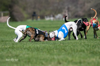 MCH78125  Seavey, Sprout, Mandy, Ruffian, Ocho