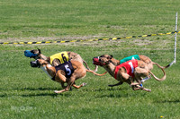 Heat 1