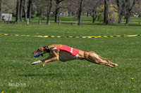 Heat 2