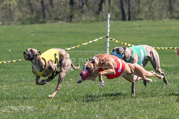 MCH78208-2  Torrie, Bull, Ocho, Maxx, Rookie, Thunder