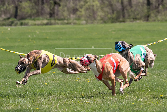 MCH78209-2  Torrie, Bull, Ocho, Maxx, Rookie, Thunder