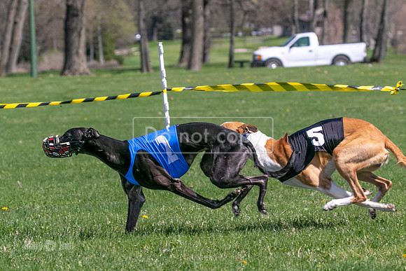 MCH78224  Torrie, Bull, Ocho, Maxx, Rookie, Thunder