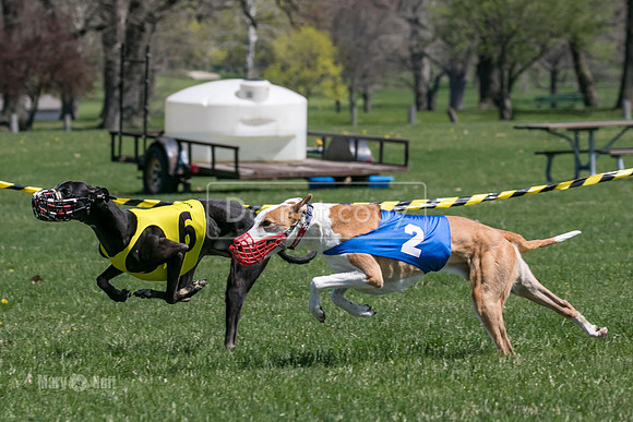 MCH78257   Vander, Rookie, Rose Tyler, Seavey, Bull