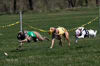MCH78306  Kixx, Savvy-G, Ruffian, Mandy, Jagger