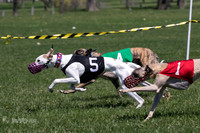 MCH78315  Kixx, Savvy-G, Ruffian, Mandy, Jagger