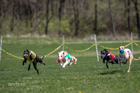 MCH78323  Rizzo, Seavey, Rookie, Bull