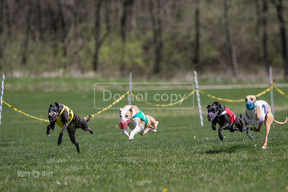 MCH78323  Rizzo, Seavey, Rookie, Bull