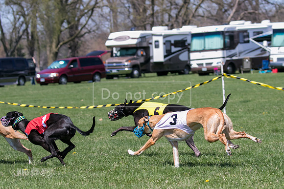 MCH78342  Rizzo, Seavey, Rookie, Bull