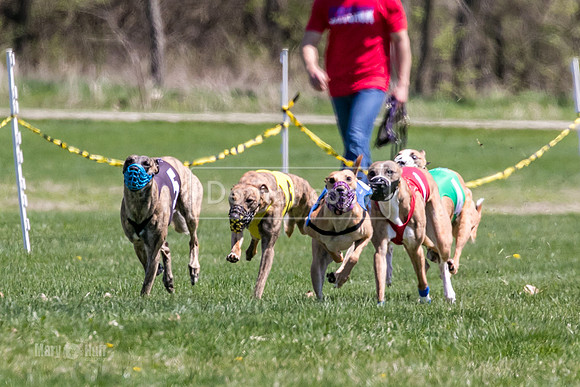 MCH78344  Gronk, Rose Tyler, Ocho, Torrie, Maxx, Thunder