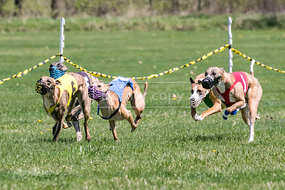 MCH78350  Gronk, Rose Tyler, Ocho, Torrie, Maxx, Thunder