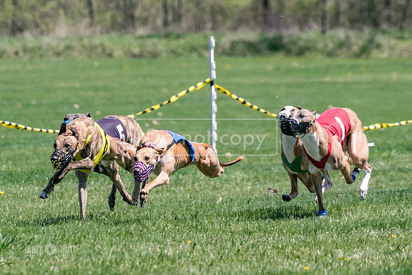 MCH78349  Gronk, Rose Tyler, Ocho, Torrie, Maxx, Thunder