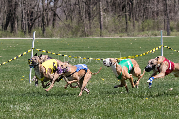 MCH78351  Gronk, Rose Tyler, Ocho, Torrie, Maxx, Thunder