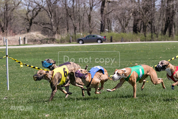 MCH78353  Gronk, Rose Tyler, Ocho, Torrie, Maxx, Thunder