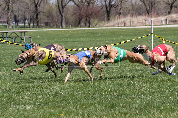 MCH78355  Gronk, Rose Tyler, Ocho, Torrie, Maxx, Thunder