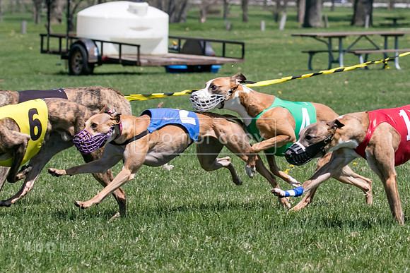 MCH78357  Gronk, Rose Tyler, Ocho, Torrie, Maxx, Thunder