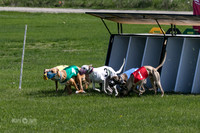 MCH78162  Kixx, Ruffian, Mandy, Seavey, Vander, Nigel