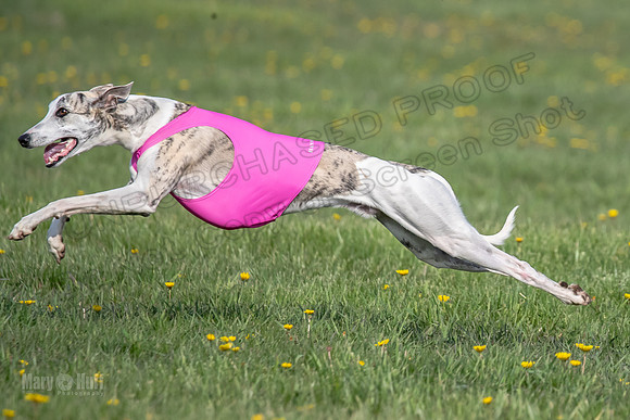 1Prelims Open E1 Boujee Riptide Zaza-0722