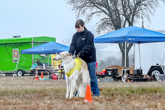 Prelims Open 1, Flossie-9350