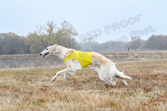 Prelims Open 1, Flossie-9422