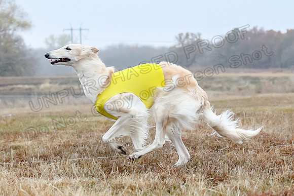 Prelims Open 1, Flossie-9421