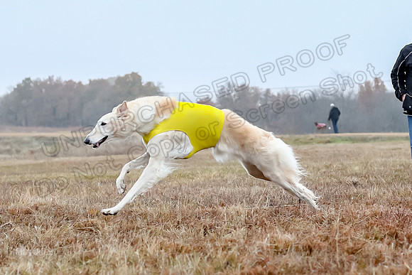 Prelims Open 1, Flossie-9418