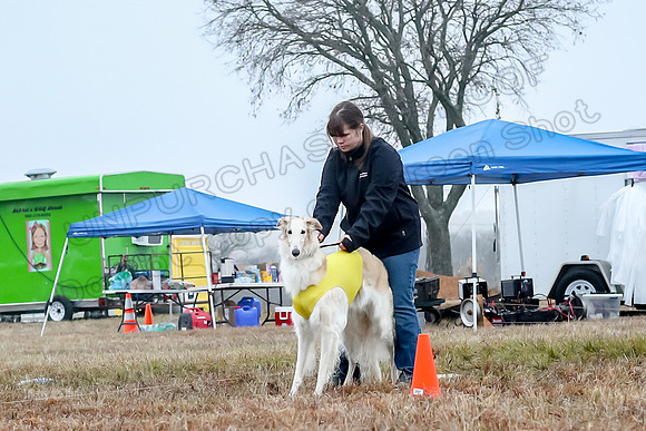 Prelims Open 1, Flossie-9397