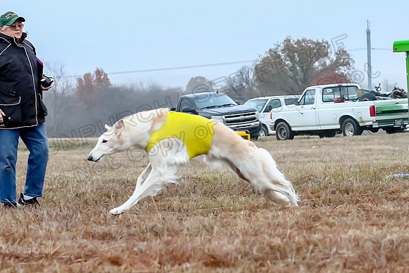 Prelims Open 1, Flossie-9359