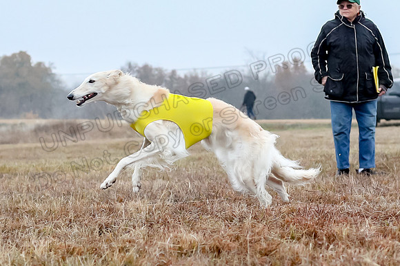 Prelims Open 1, Flossie-9417