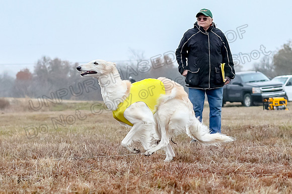 Prelims Open 1, Flossie-9416