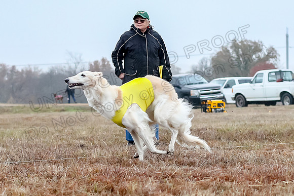 Prelims Open 1, Flossie-9415