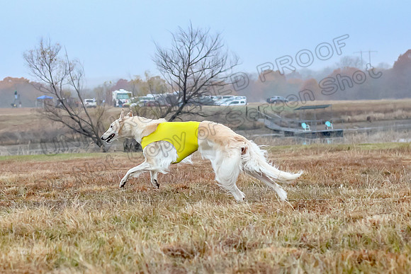 Prelims Open 1, Flossie-9376