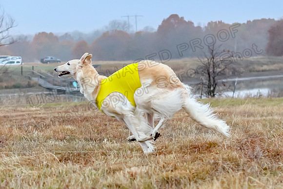 Prelims Open 1, Flossie-9374