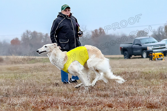 Prelims Open 1, Flossie-9361