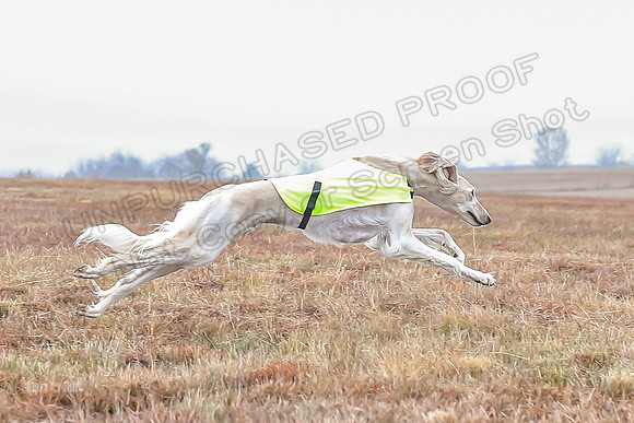Prelims Open 1, Rajah-0065