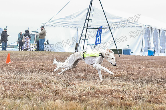Prelims Open 1, Rajah-0048