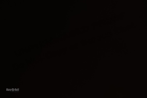 AE4I2219