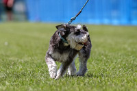 AE4I9494