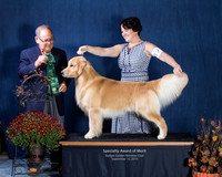 Award of Merit -Show 3, Sunday