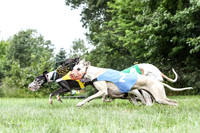 prg 1 race 1 angel nathalia seeker sid zen-3498