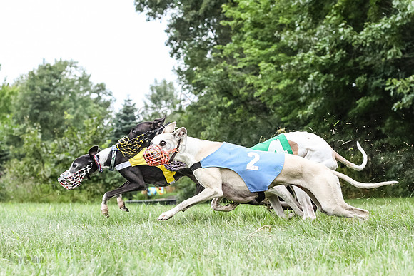 prg 1 race 1 angel nathalia seeker sid zen-3498
