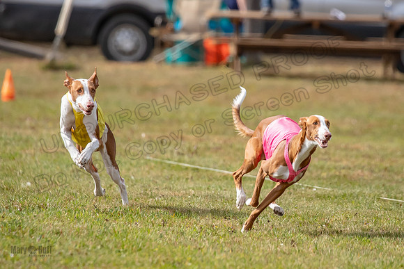 Finals Open 1 Jagger Maverick-3003