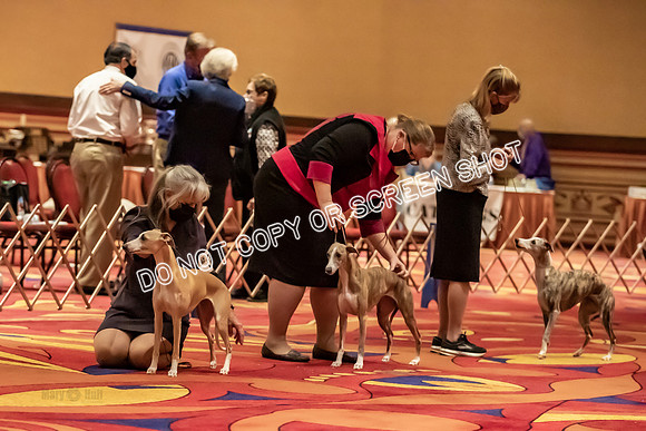 BOB Group C Bitches-5671