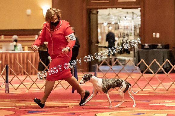 BOB Group C Bitches-5694