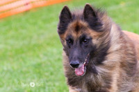 MCH70641