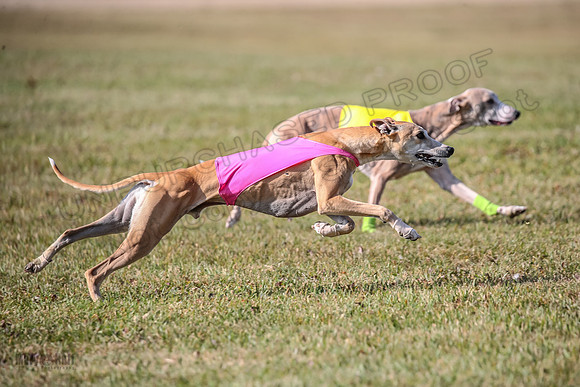 Finals Open 2 Fennec Keegan AnnieOakley-3895
