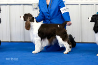 MCH59358